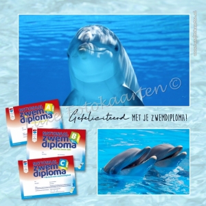 Geslaagd - zwemdiploma dolfijn